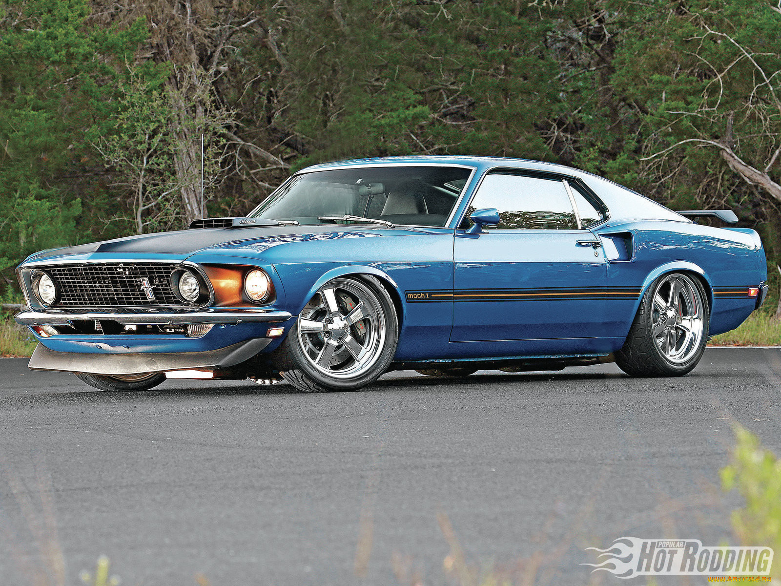 , mustang, mach